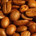 Arabica ve Robusta Kahve Çekirdekleri Arasındaki Farklar